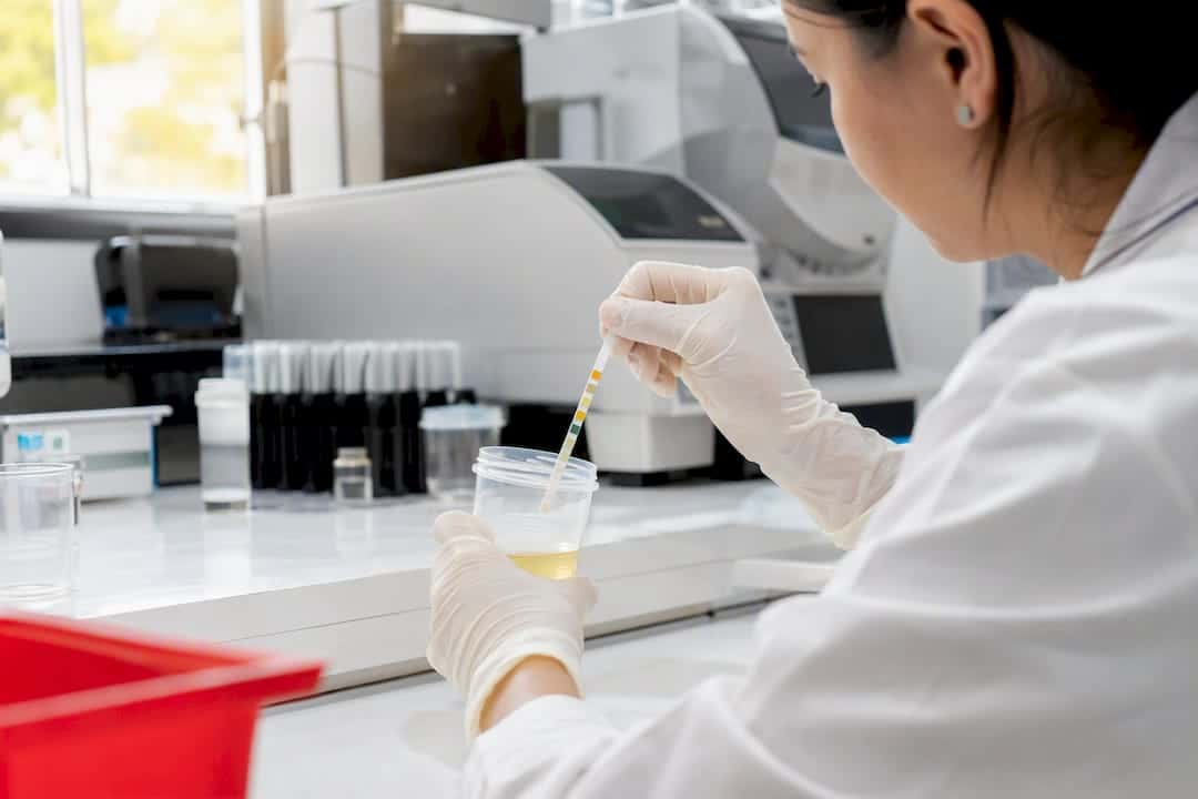 Hands dipping immunoassay strip into urine sample
