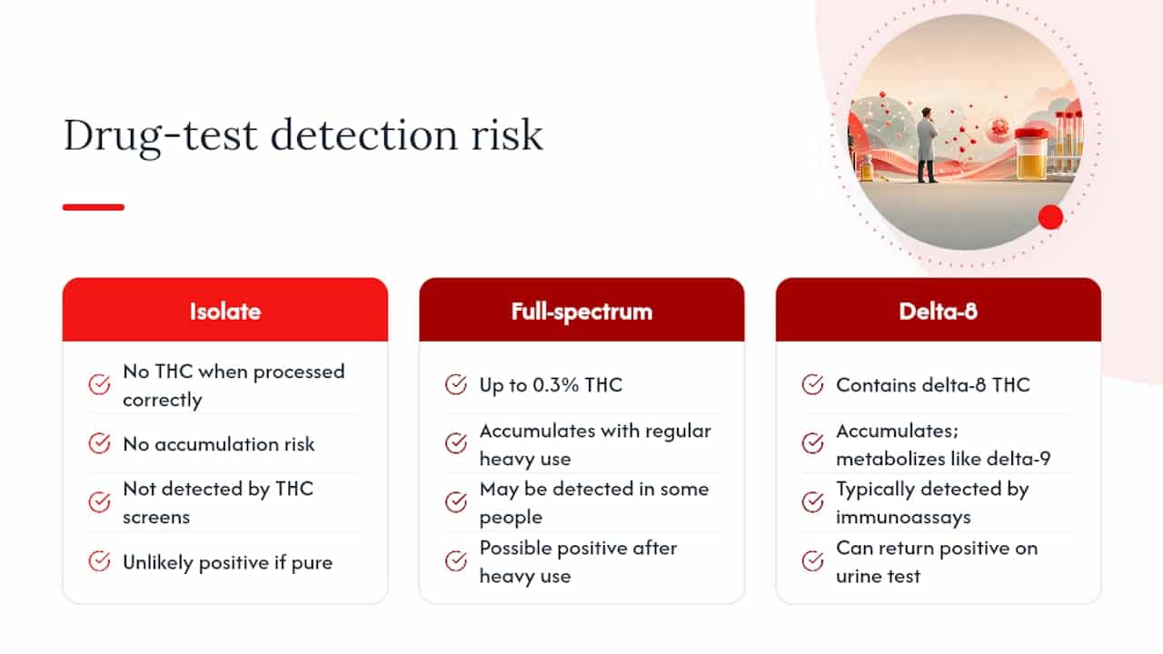 Comparison diagram showing drug test risk levels of CBD isolate, full-spectrum CBD, and delta 8 THC