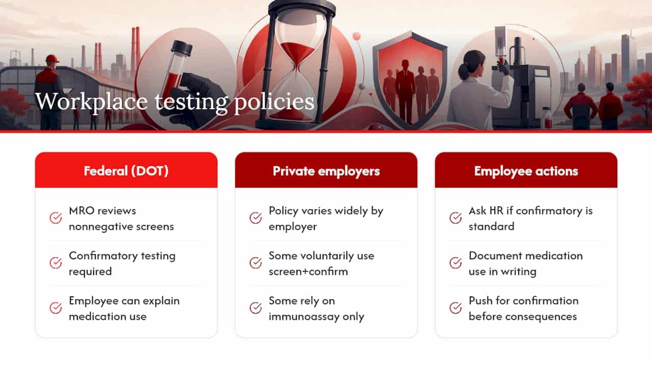 Workplace Policy and Legal Considerations Around False Positives — overview diagram