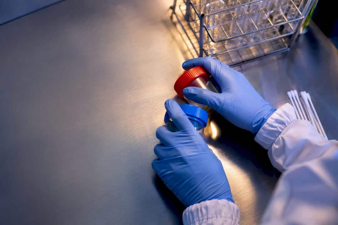 Technician sorting sterile specimen containers