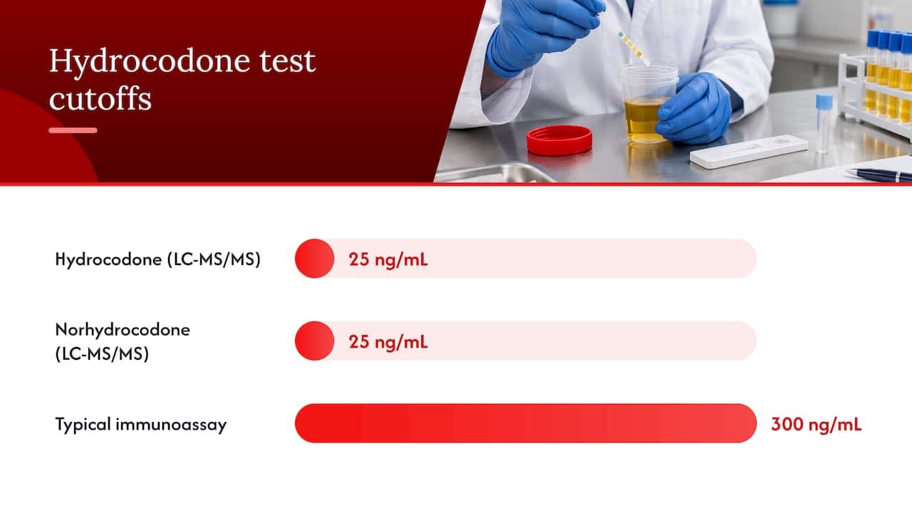 Confirmatory testing, metabolites, and cutoff concentrations — overview diagram