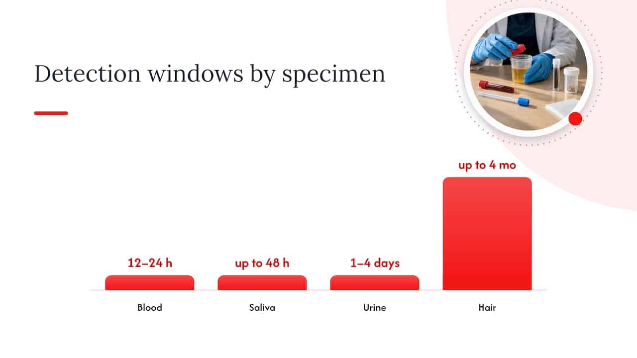 Detection windows by specimen: urine, blood, saliva, hair, and nails — overview diagram