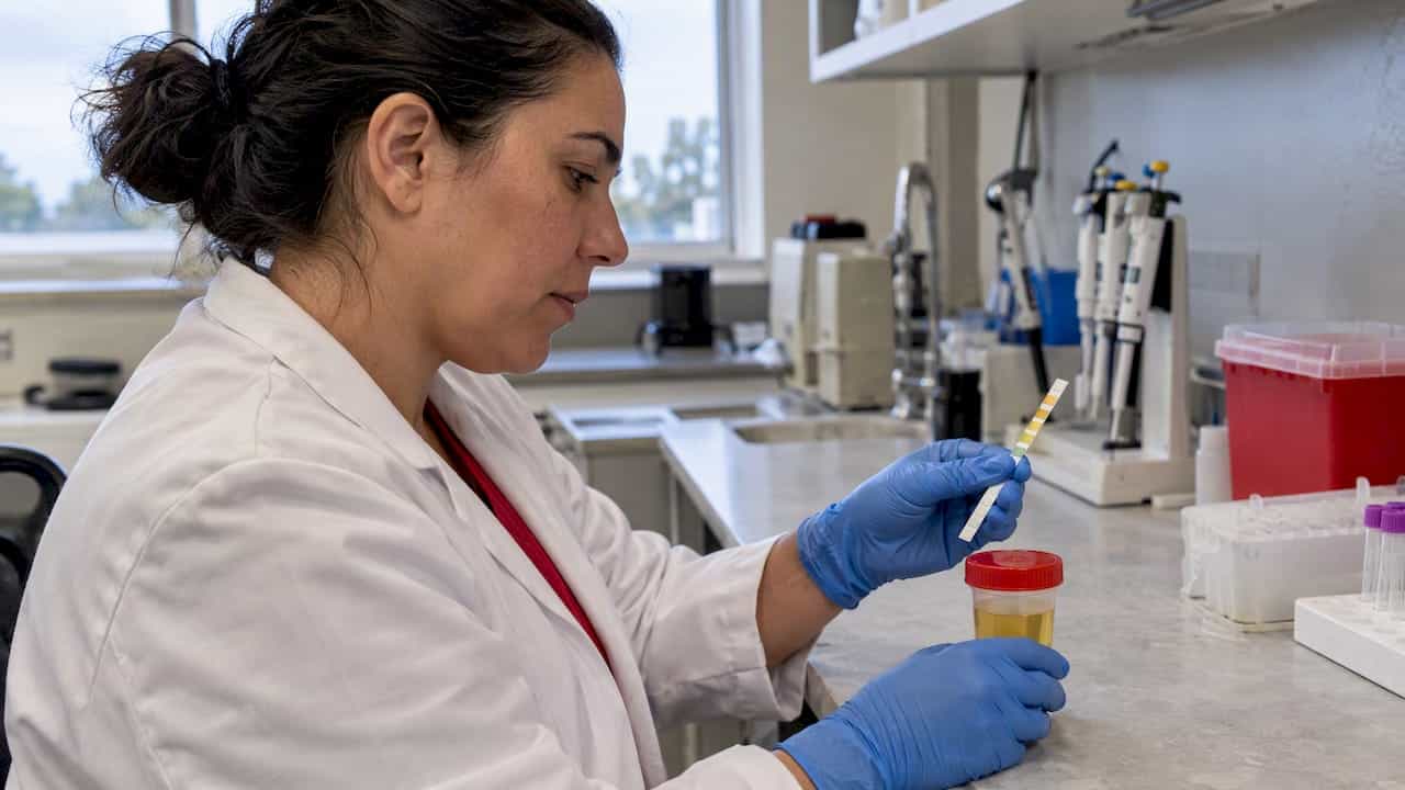 Technician checks a urine pH strip