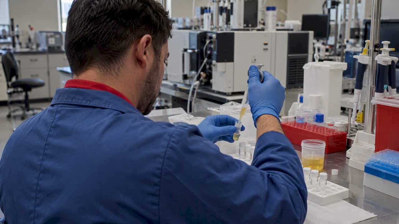 Technician preparing urine for toxicology testing