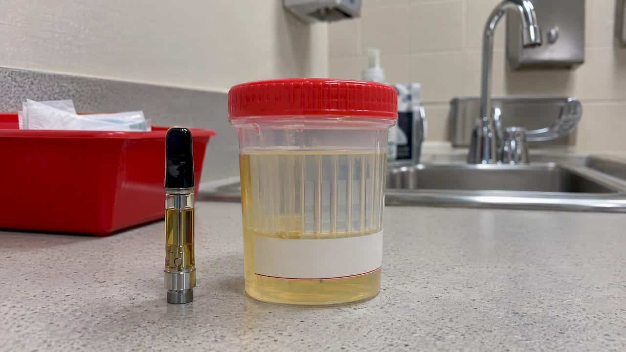 Vape cartridge beside a urine drug test cup