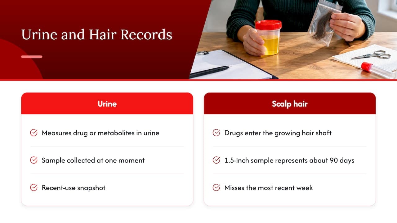 Urine snapshot and hair detection timeline