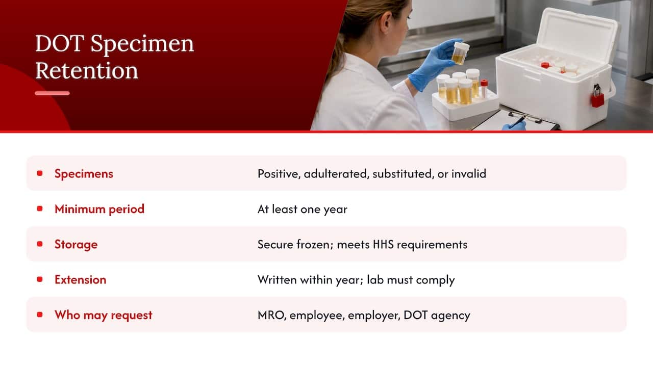 Workplace drug testing: the one-year rule and how it extends — overview diagram