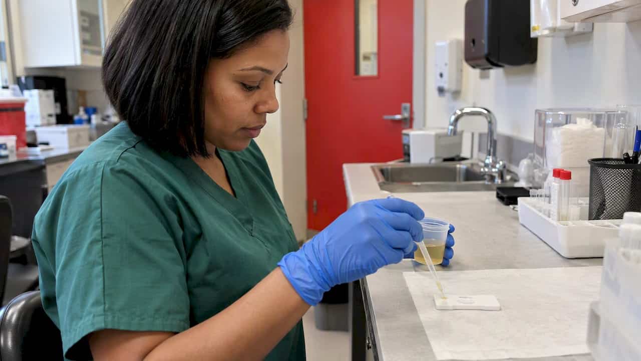 Technician performs a urine THC screening test