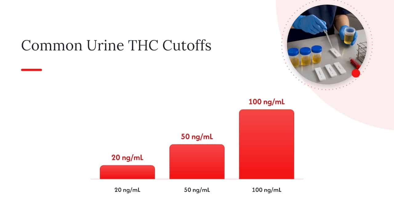 What a THC cutoff actually measures — overview diagram